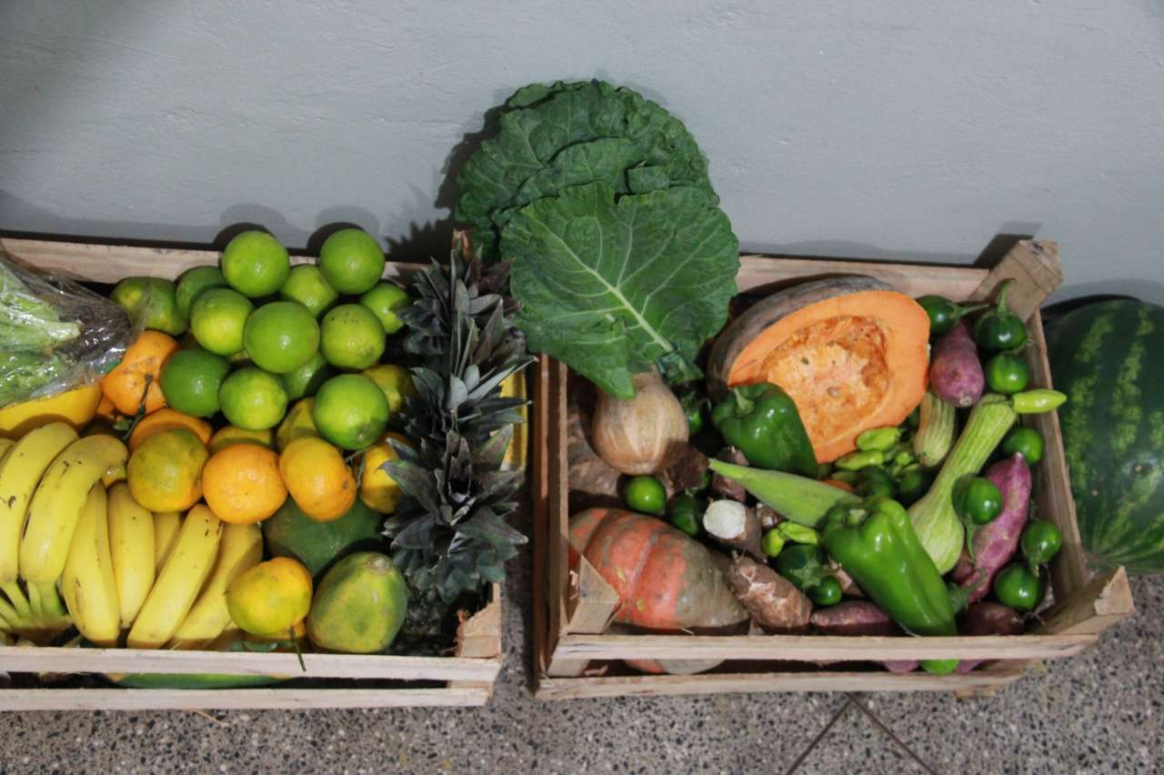 No momento, você está visualizando Várzea Grande realiza chamamento público e fomenta agricultura familiar