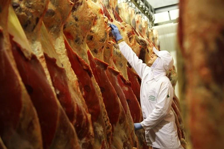 No momento, você está visualizando Produção animal cresce no 1º trimestre de 2025 e reforça força do agronegócio
