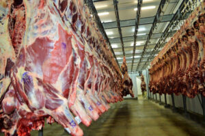 Leia mais sobre o artigo Mercado de carne de MT cresce com força em 2025, puxado pela China