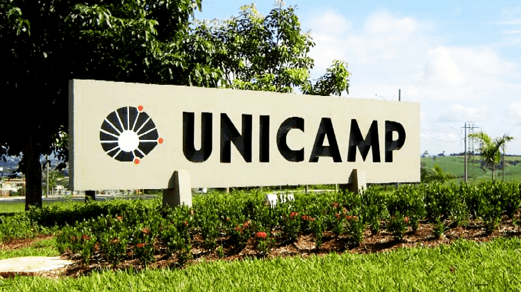 No momento, você está visualizando Unicamp oferece 8 cursos online gratuitos com certificado