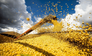 Leia mais sobre o artigo Brasil quer liderar segurança alimentar global com aumento populacional