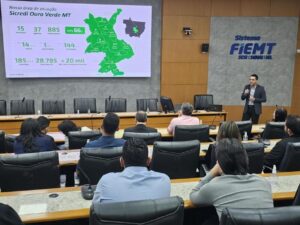 Leia mais sobre o artigo Fiemt apresenta linhas de financiamento para modernizar a indústria
