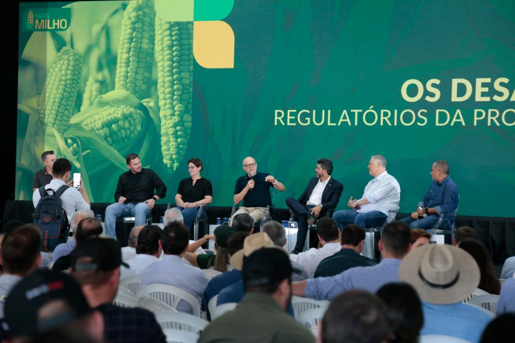 No momento, você está visualizando Mato Grosso dá início à colheita da segunda safra nacional de milho
