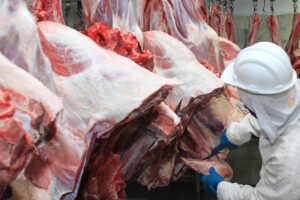Leia mais sobre o artigo CNA estima perdas de US$ 5,8 bi ao agro com tarifaço de Trump