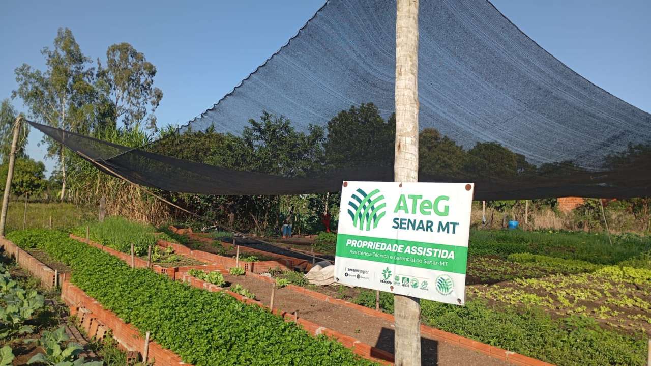 No momento, você está visualizando Semana de visitas técnicas valoriza agricultura familiar em Várzea Grande