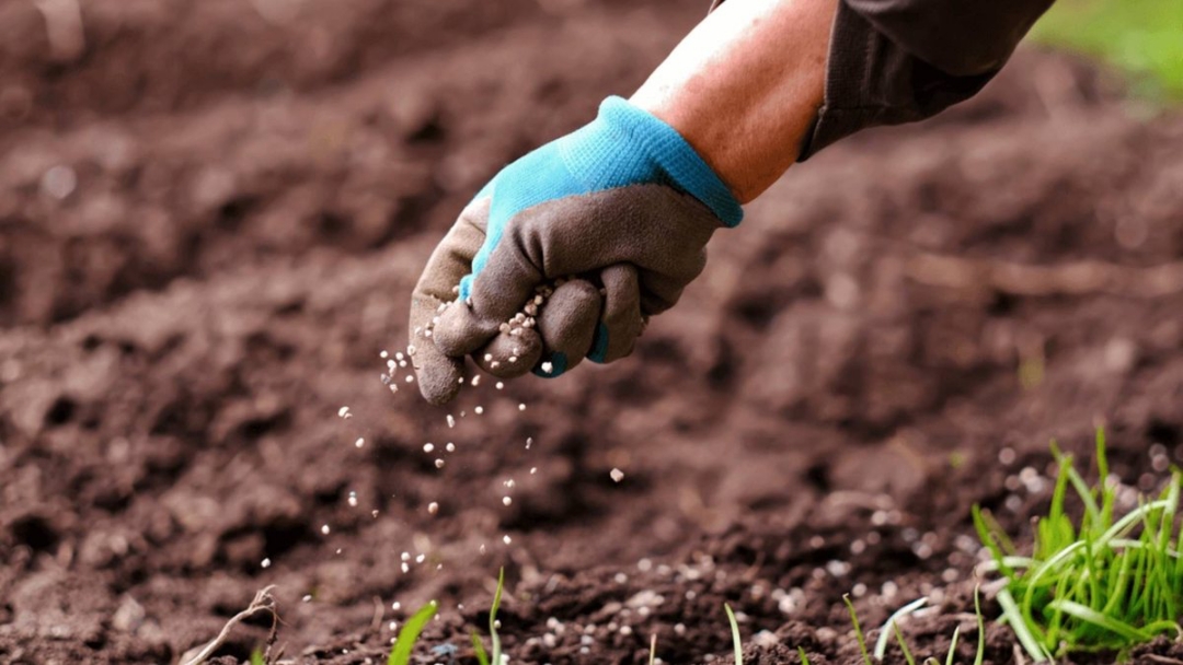 No momento, você está visualizando Agro mato-grossense lidera entrega de fertilizantes no Brasil