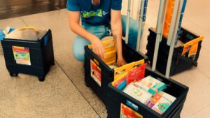 Leia mais sobre o artigo Rondonópolis distribui mais de 12 mil livros de literatura infantil