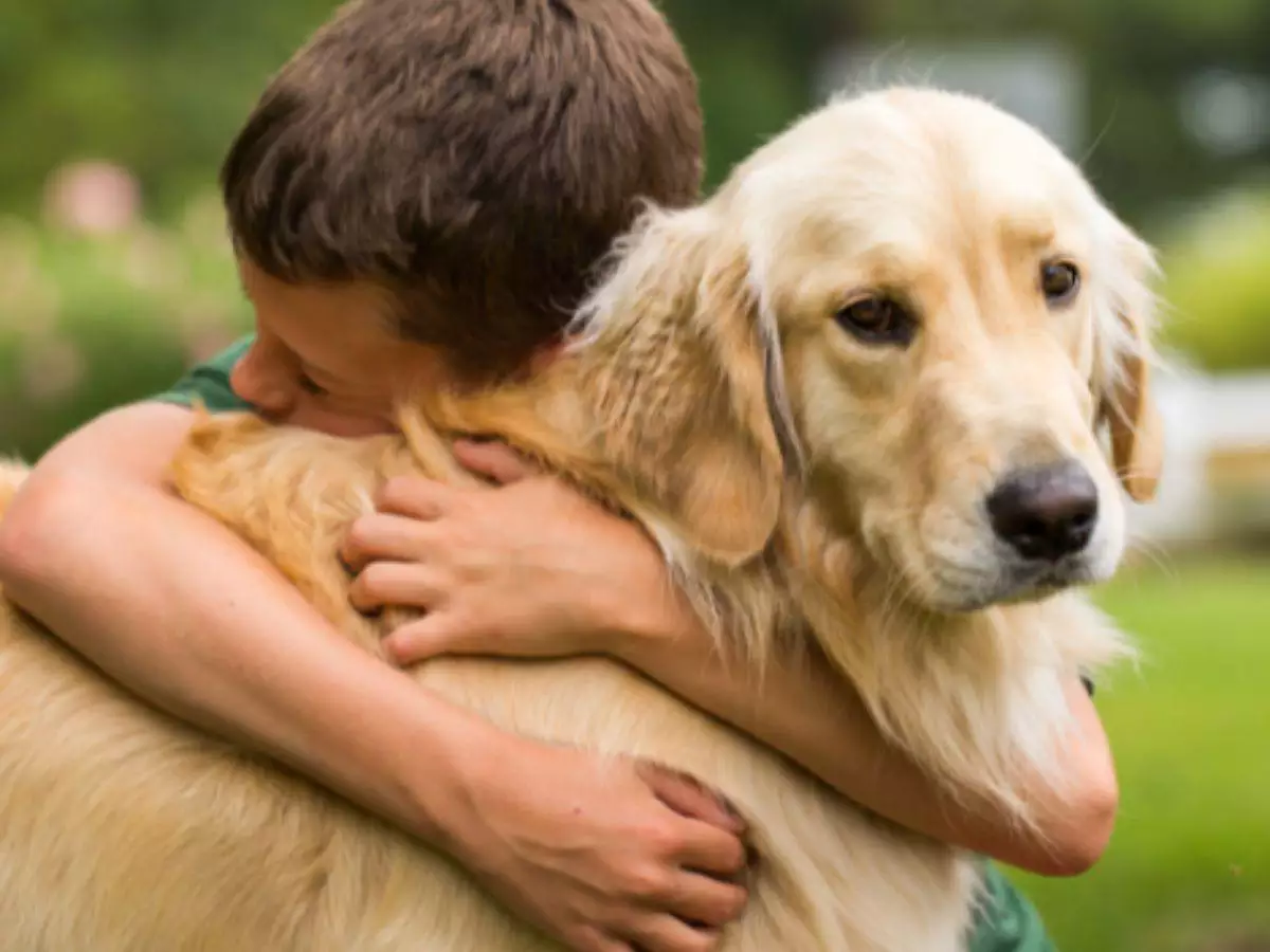 No momento, você está visualizando Cientistas revelam as raças de cachorro mais carinhosas