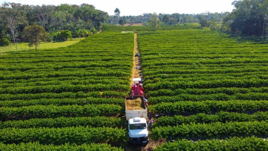 No momento, você está visualizando Governo de Mato Grosso isenta taxa de inscrição estadual para produtores rurais
