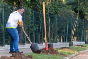 Leia mais sobre o artigo Rondonópolis marcará Dia da Árvore com mutirão de plantio de mudas