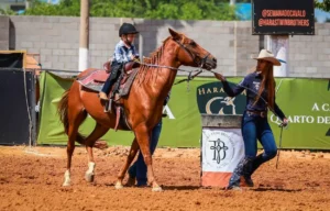 Leia mais sobre o artigo Semana do Cavalo edição Rondonópolis apresenta circuito de palestras e muito mais
