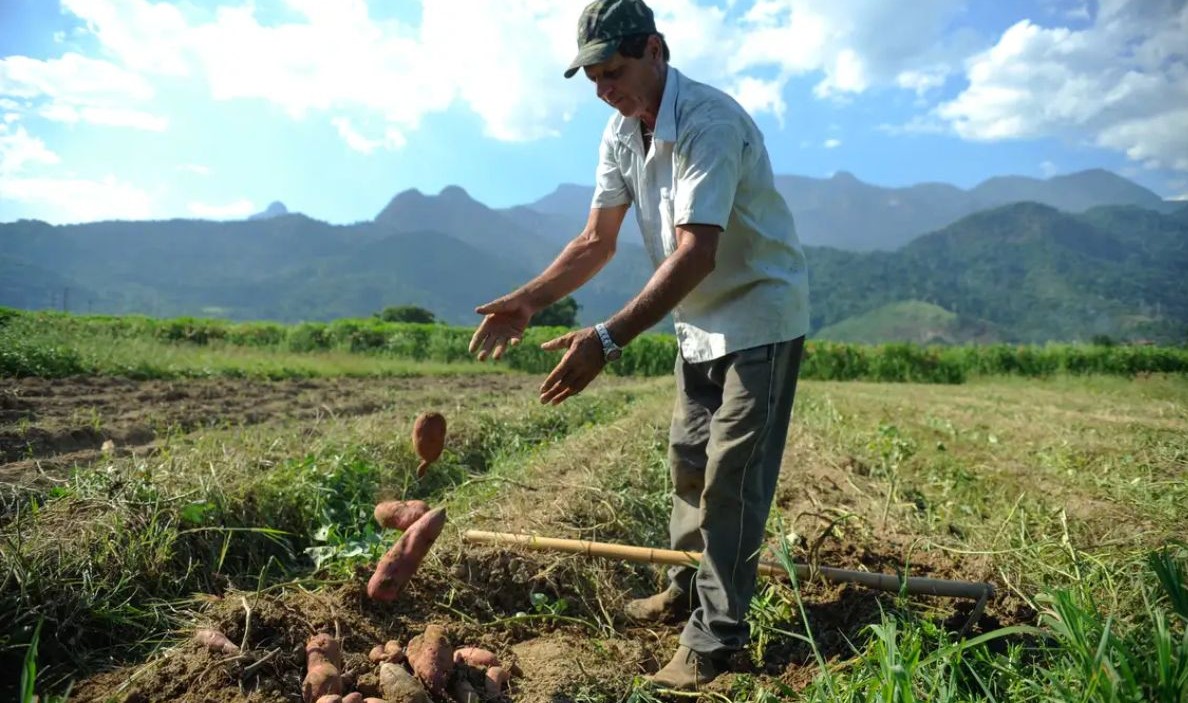 No momento, você está visualizando BNDES vai liberar R$ 12 bi para produtores rurais com perdas de safra