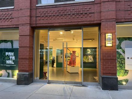 No momento, você está visualizando Mato Grosso leva cultura, sabores e arte pantaneira à Galeria Visit Brasil