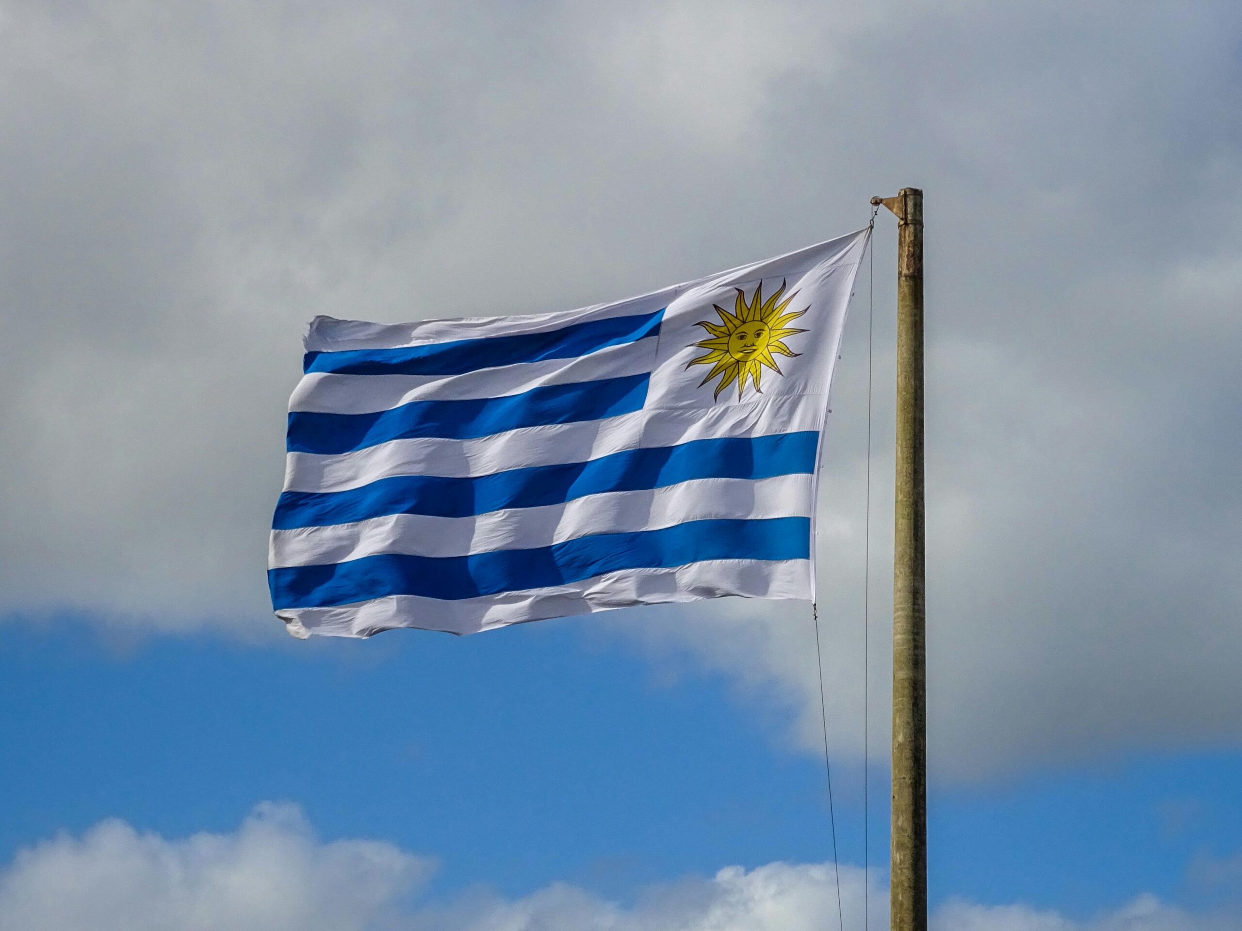 No momento, você está visualizando Uruguai aprova lei de eutanásia por ampla maioria no Senado