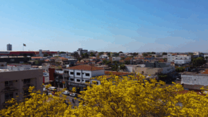 Leia mais sobre o artigo Rondonópolis tem melhor saldo de empregos em outubro em MT