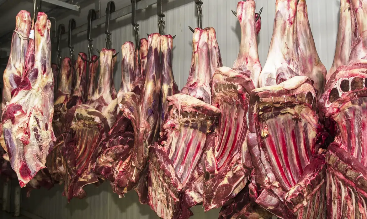No momento, você está visualizando Setor espera fim de tarifas dos EUA sobre a carne em até 60 dias