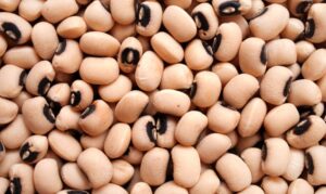 Leia mais sobre o artigo Abertura de mercado para o Brasil na Índia e na Rússia