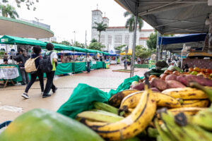 Leia mais sobre o artigo Feiras impulsionam economia local e movimentam quase R$ 1 milhão em Cuiabá