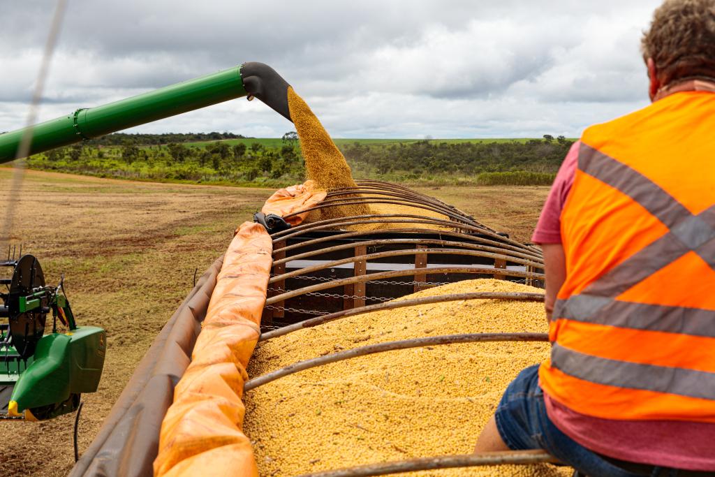 No momento, você está visualizando Mato Grosso fecha 2025 como o 4º maior exportador brasileiro