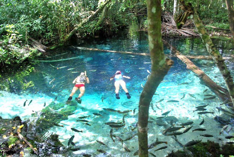 No momento, você está visualizando Regiões de Mato Grosso estão entre os principais destinos naturais do Brasil