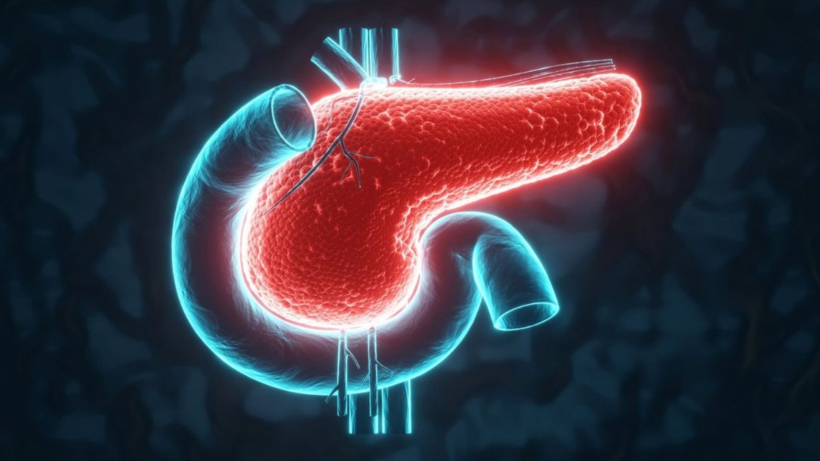 No momento, você está visualizando Combinação tripla elimina câncer de pâncreas em testes