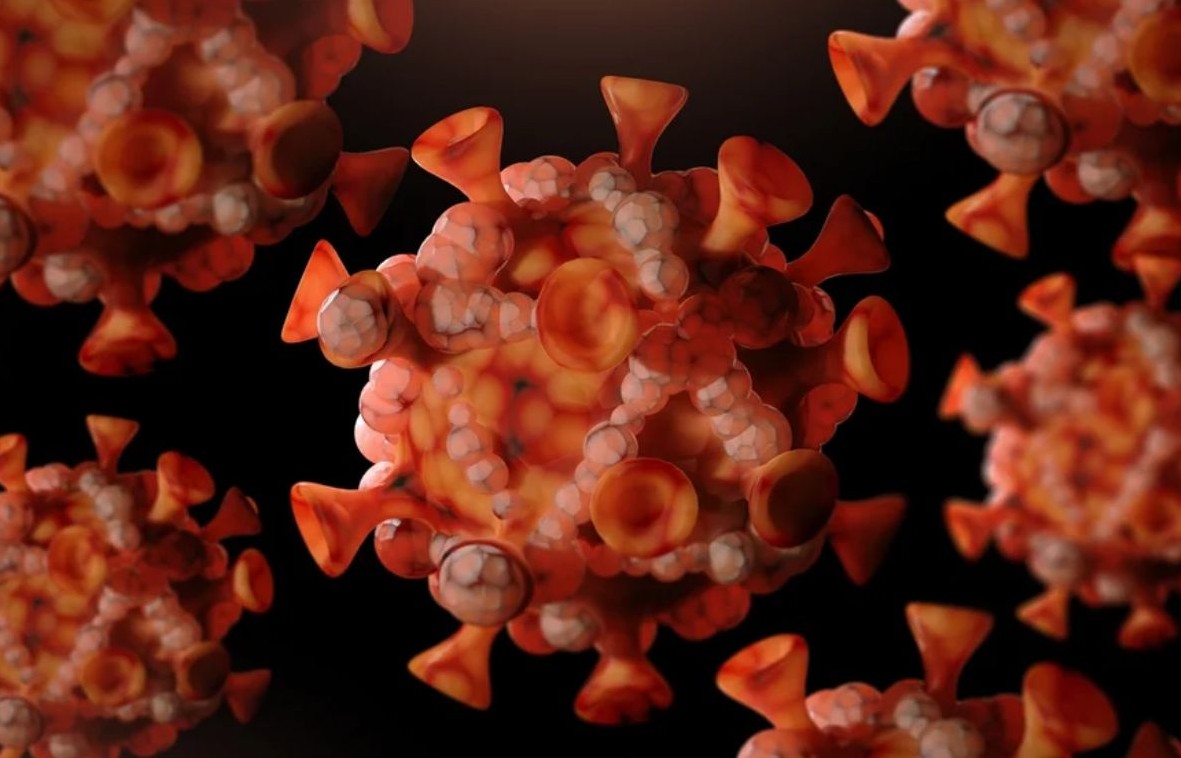 No momento, você está visualizando MPOX: Ministério da Saúde confirma 55 casos da doença no Brasil