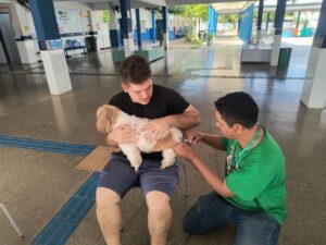 Leia mais sobre o artigo Prefeitura de Cuiabá fortaleceu ações de monitoramento de zoonoses