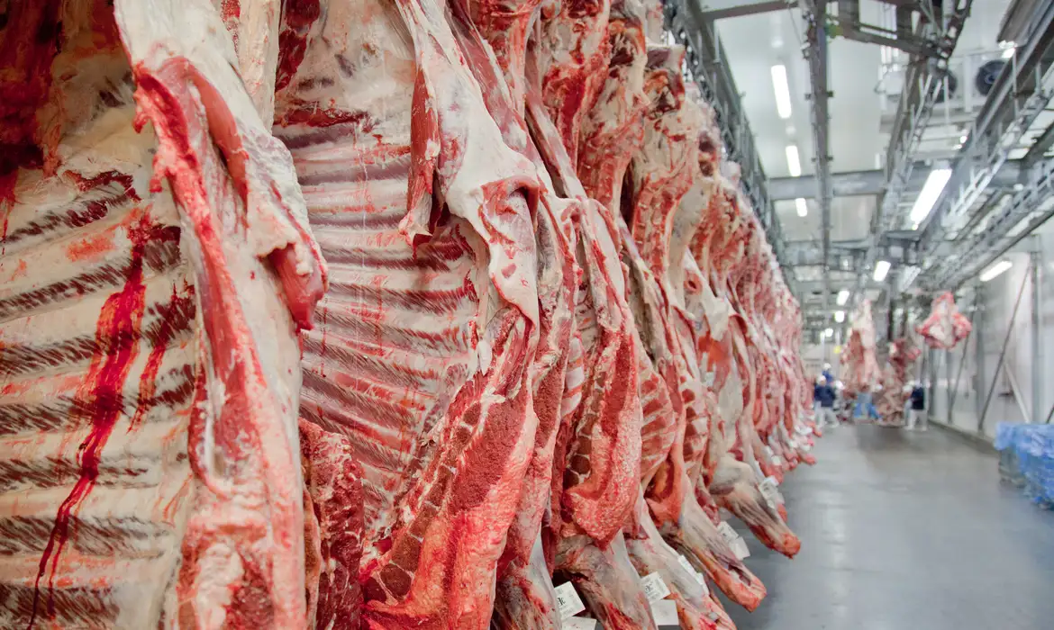 No momento, você está visualizando Exportações de carne bovina crescem 37,9% em janeiro e somam US$ 1,4 bilhão