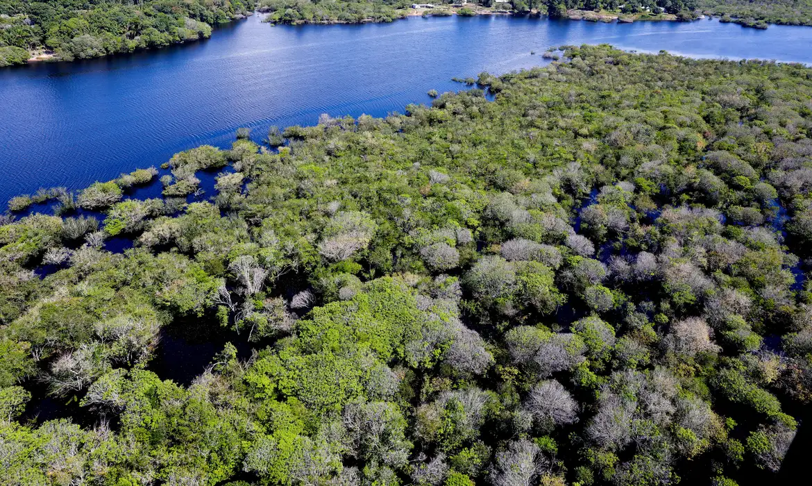 No momento, você está visualizando Governo lança edital para combate ao desmatamento na Amazônia