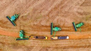 Leia mais sobre o artigo Mato Grosso consolida estratégia de diversificação internacional com abertura de 15 novos mercados