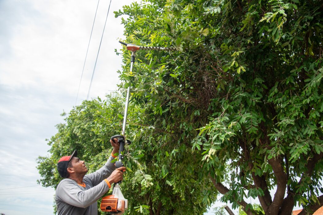 No momento, você está visualizando Rondonópolis disponibiliza serviços da área ambiental de forma digital
