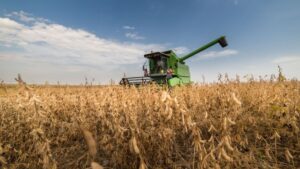 Leia mais sobre o artigo Colheita de soja 2025/26 atinge 50,6% da área no País, diz Conab