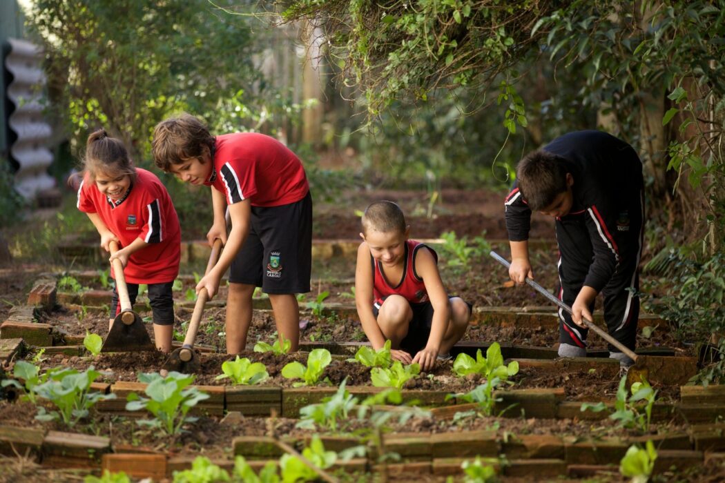 No momento, você está visualizando Educação alimentar e nutricional passa a integrar currículo na rede pública de ensino