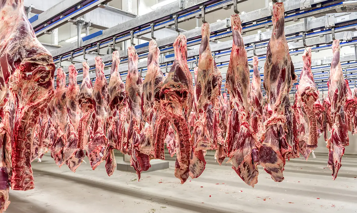 No momento, você está visualizando Exportações de carne garantem poder de compra recorde para pecuária de MT