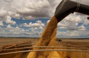 Leia mais sobre o artigo Colheita de soja reforça expectativa de safra recorde em 25/26