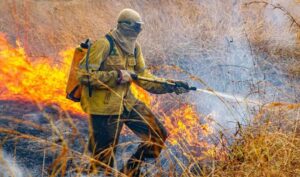Leia mais sobre o artigo Governo divulga planejamento para enfrentar incêndios em 2026
