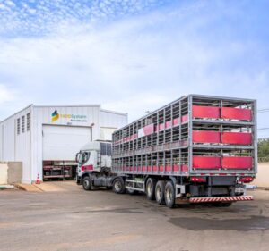 Leia mais sobre o artigo Modernização elétrica ganha protagonismo na avicultura e suinocultura