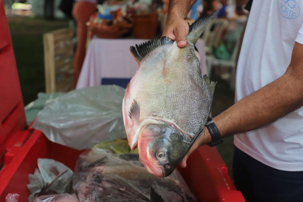 No momento, você está visualizando “VG Santo Peixe” leva 20 toneladas de pescado mais barato a seis pontos da cidade