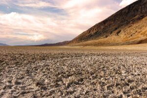 Leia mais sobre o artigo China transforma areia do deserto em solo fértil em 10 meses