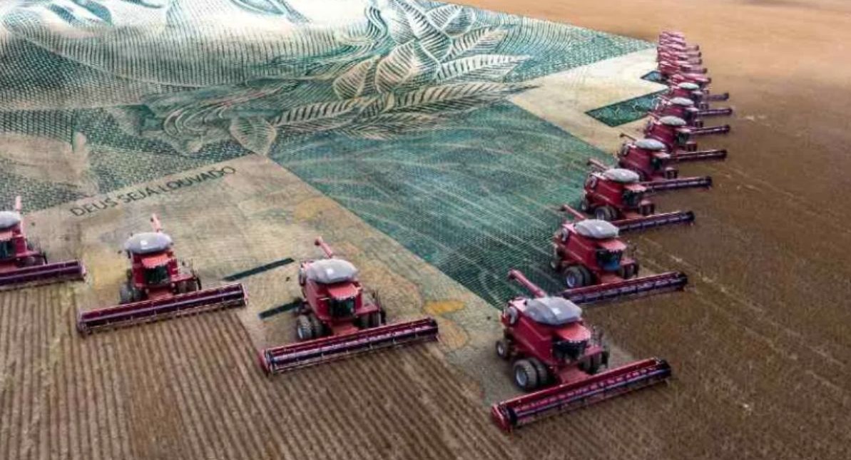 No momento, você está visualizando EXCLUSIVO: Cooperativas pedem Plano Safra de R$ 674 bilhões