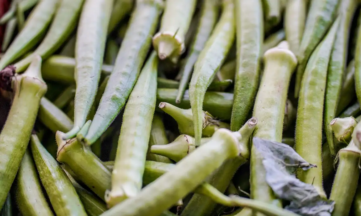 No momento, você está visualizando Garantia-Safra; veja lista dos que receberão pagamento em abril