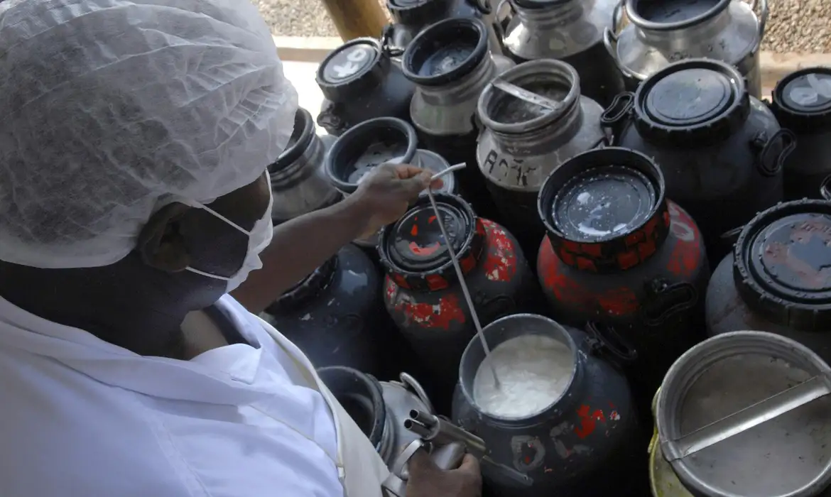 No momento, você está visualizando Governo federal anuncia recursos para o Pronaf Mais Leite