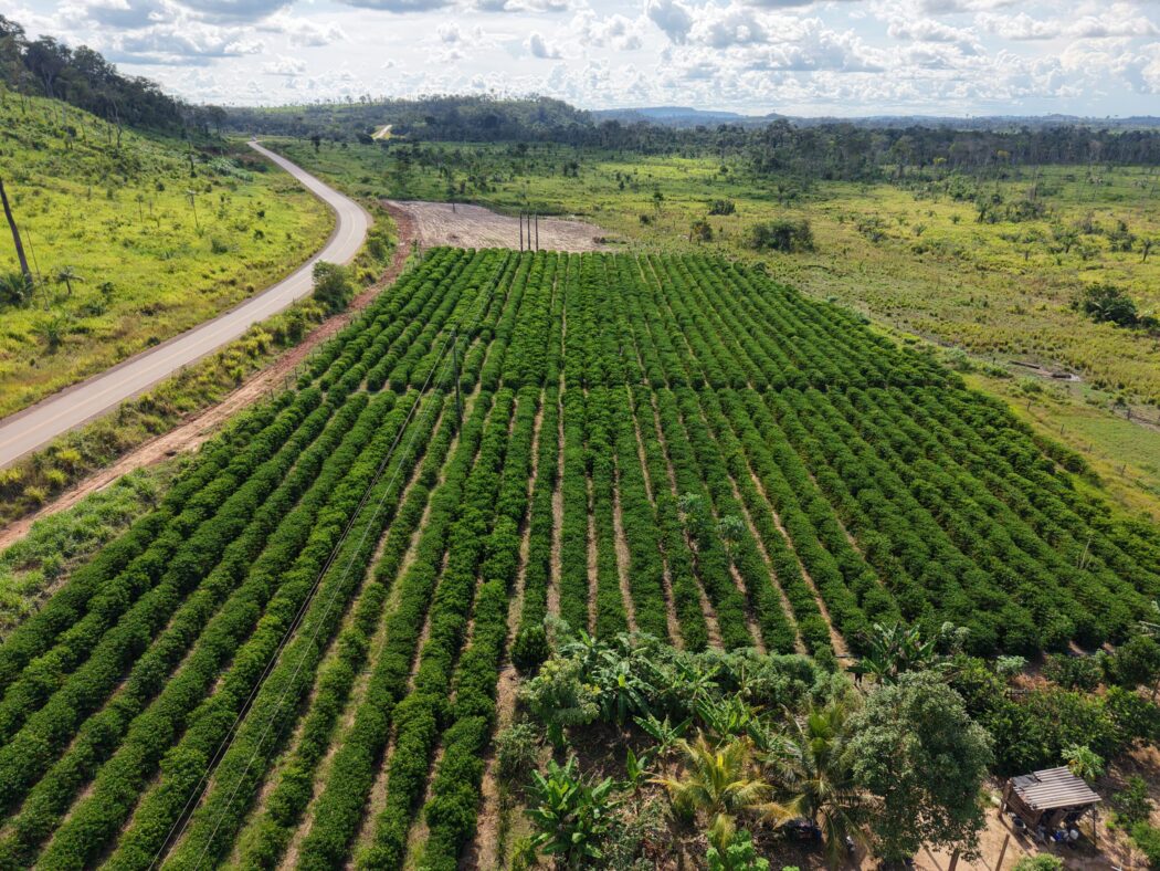 No momento, você está visualizando Seaf inicia mobilização do MT Produtivo em 61 municípios de Mato Grosso