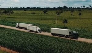 Leia mais sobre o artigo Serviços avançam 0,1% em fevereiro, patamar recorde da série histórica