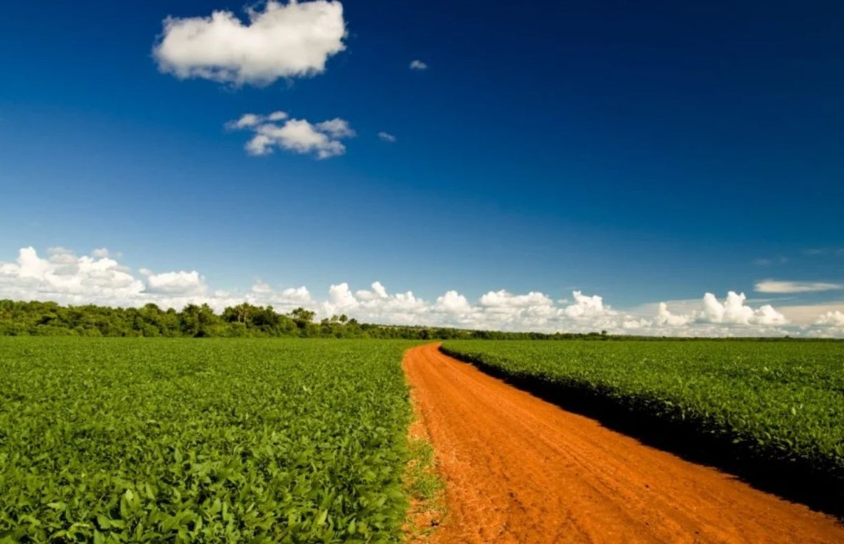 No momento, você está visualizando Agronegócio brasileiro atinge recorde de 28,4 milhões de trabalhadores