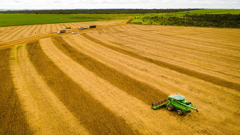 No momento, você está visualizando Mato Grosso consolida safra de soja 25/26 recorde e mantém liderança nacional