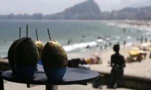 Leia mais sobre o artigo Gastos de turistas estrangeiros no Brasil soma R$ 25 bi em cinco meses