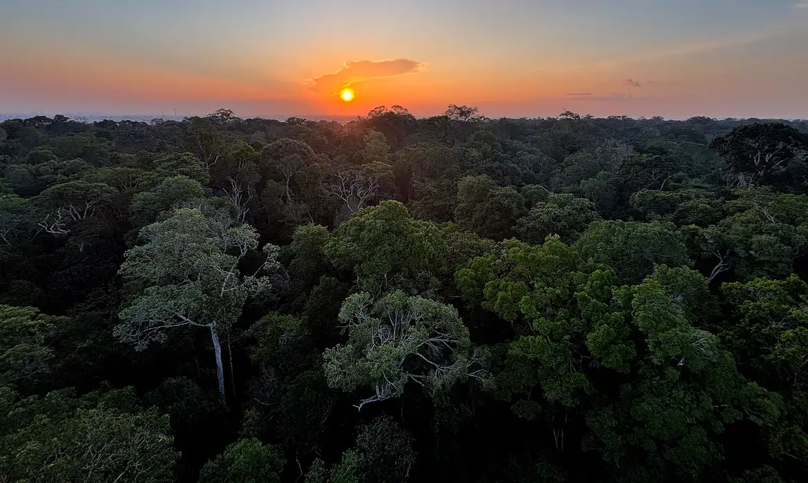 No momento, você está visualizando Programa celebra o Dia Mundial do Meio Ambiente