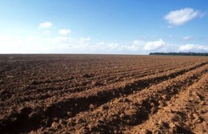 Leia mais sobre o artigo Vazio sanitário já está em vigência em Mato Grosso; saiba o que é proibido