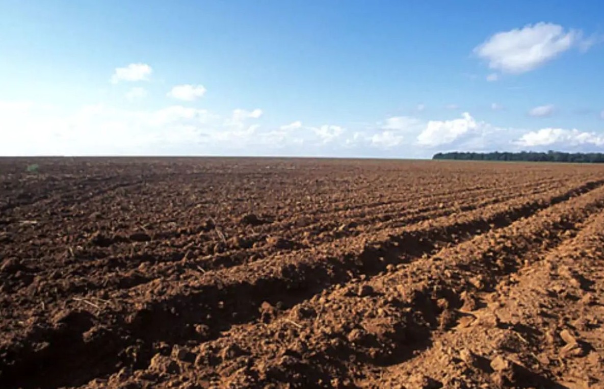 No momento, você está visualizando Vazio sanitário já está em vigência em Mato Grosso; saiba o que é proibido